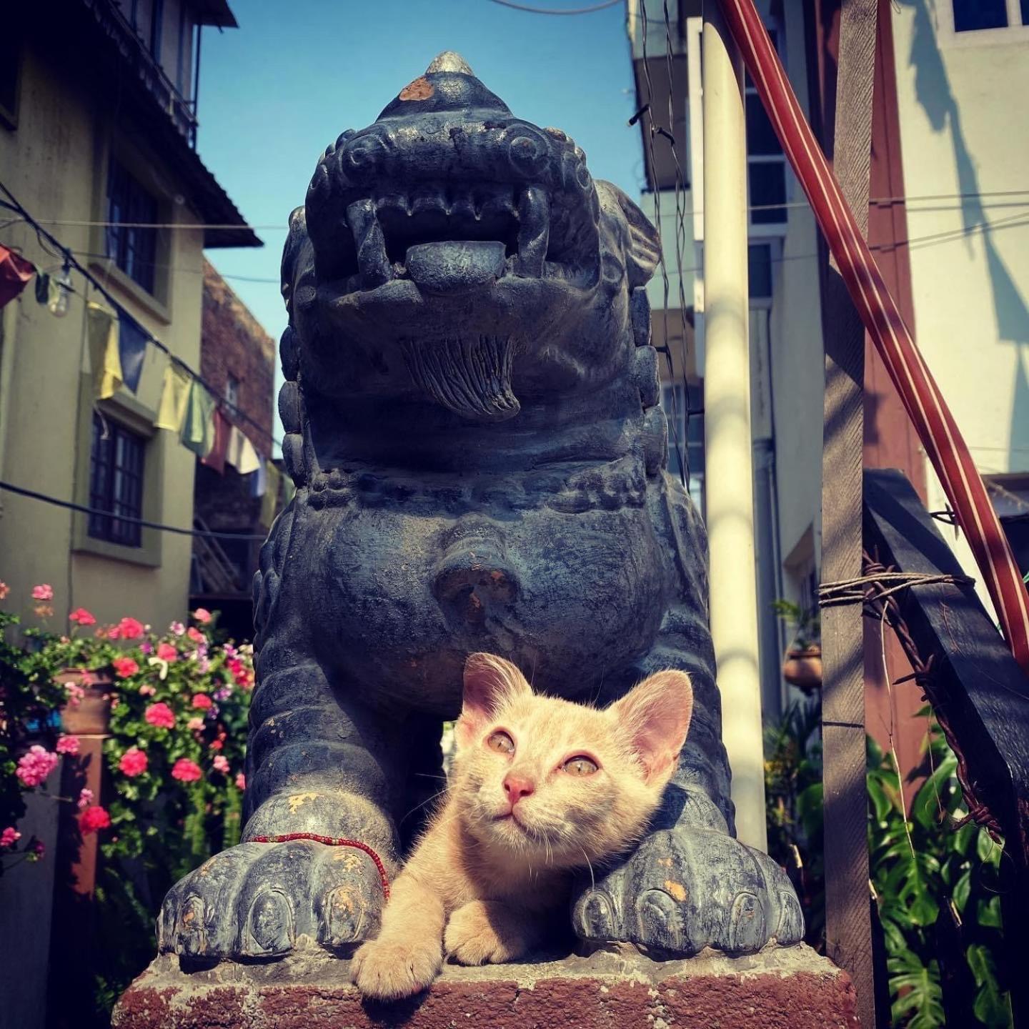 Yog Hostel Katmandu Eksteriør bilde
